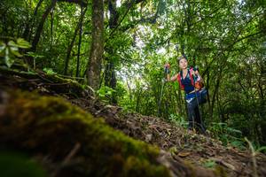 BIB: 
                            <button type="button" onclick="openModal(16008392)" class="btn btn-primary btn-sm float-right btn-popup" data-toggle="modal" data-target=".modal-high-quality">
                        <i class="fas fa-shopping-cart"></i> Add to Cart
                    </button>
                                            <button type="button" onclick="isThisMe(16008392, true)" class="btn btn-success btn-sm float-right btn-popup btn-isme hidden" data-toggle="tooltip" data-placement="bottom" title="นี่คือรูปของคุณใช่ไหม คลิกที่นี่เพื่อเอาเข้าอัลบั้ม">
                        <i class="fas fa-plus"></i> Add to album
                    </button>
                    <button type="button" onclick="isThisMe(16008392, false)" class="btn btn-warning btn-sm float-right btn-popup btn-isnotme hidden">
                        <i class="fas fa-ban"></i> Remove from album
                    </button>